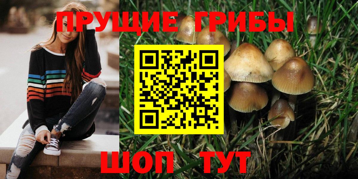 Шарыпово  Галлюциногенные грибы Cubensis  Вход с VPN  Галлюциногенные грибы Psilocybe 